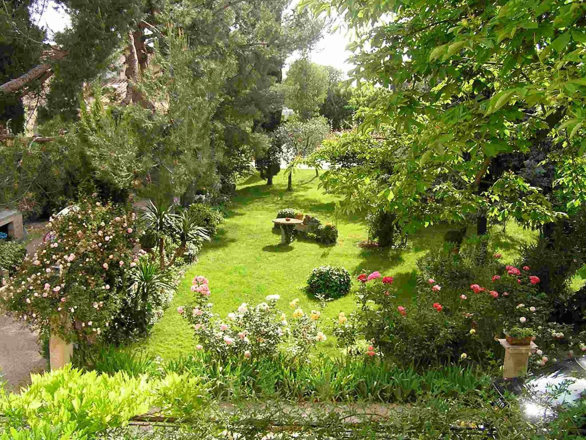 马斯阿尔皮勒索勒尔公寓 Saint-Rémy-de-Provence 外观 照片